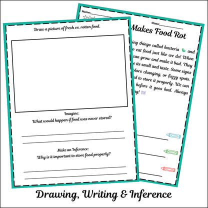 What Makes Food Rot | Short Reading Comprehension Creative Worksheet