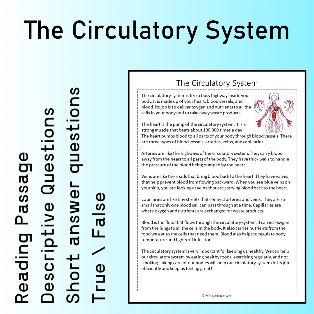 The Circulatory System | Reading Comprehension Passage Printable Worksheet