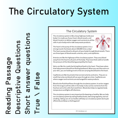 The Circulatory System | Reading Comprehension Passage Printable Worksheet