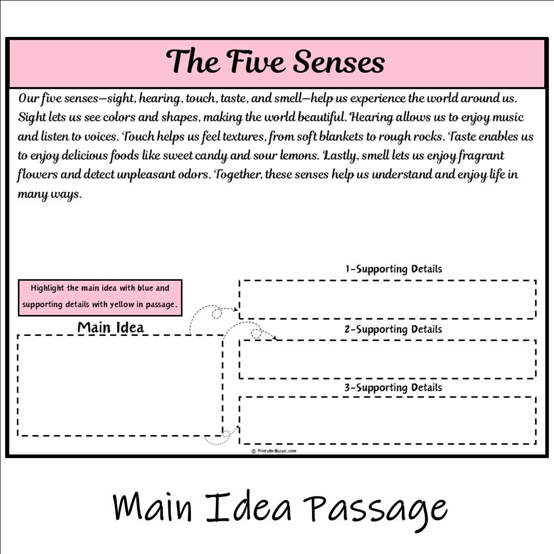 The Five Senses | Main Idea and Supporting Details Reading Passage and Questions