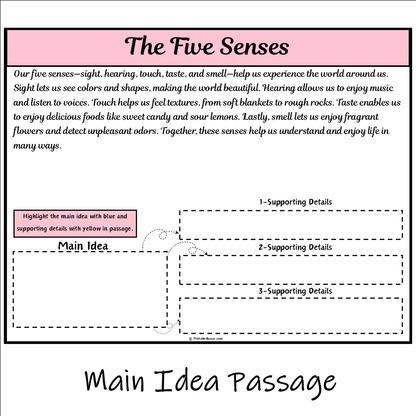 The Five Senses | Main Idea and Supporting Details Reading Passage and Questions