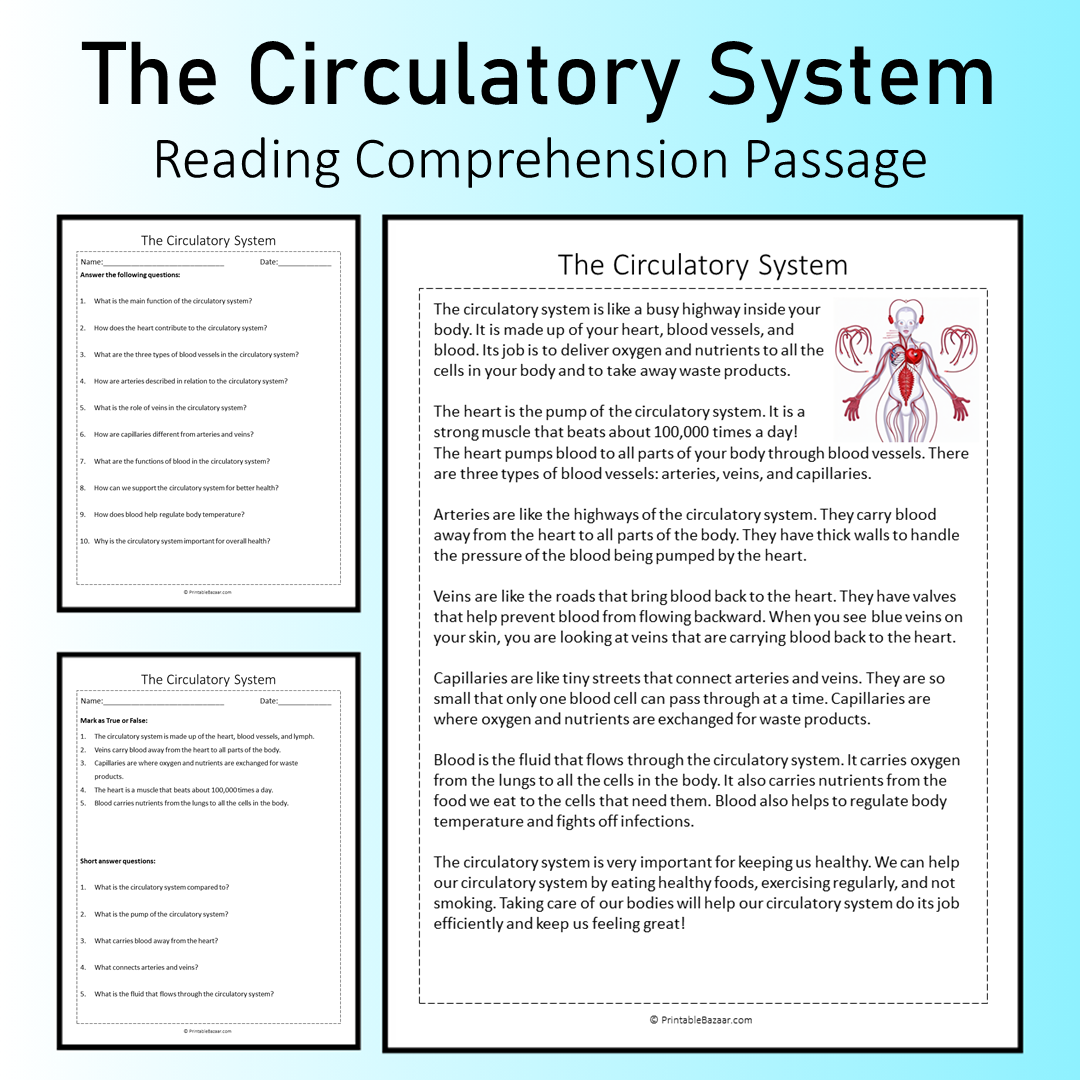 The Circulatory System | Reading Comprehension Passage Printable Worksheet