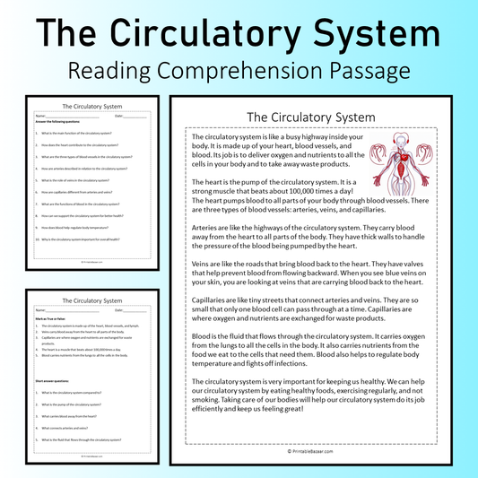 The Circulatory System | Reading Comprehension Passage Printable Worksheet