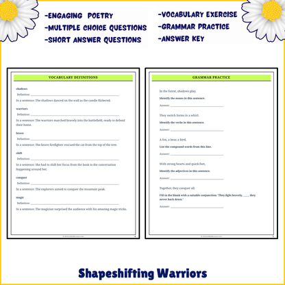 Shapeshifting Warriors | Poem Grammar Worksheet Printable Activity