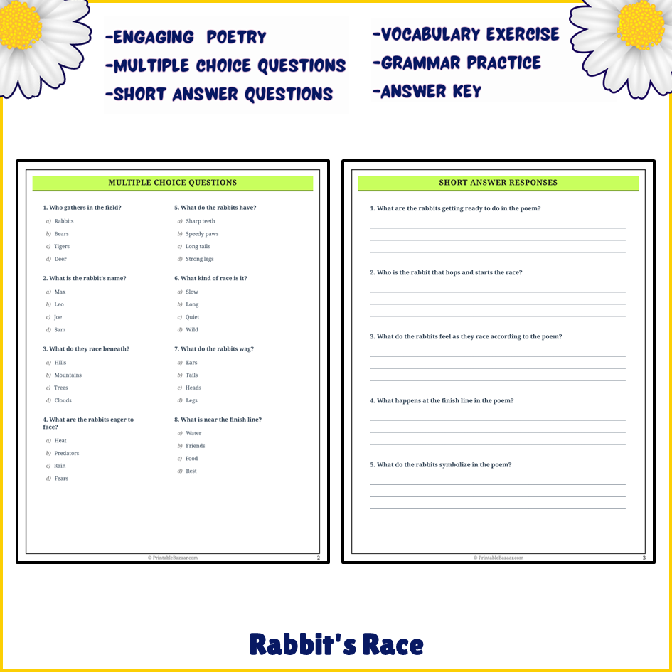 Rabbit's Race | Poem Grammar Worksheet Printable Activity