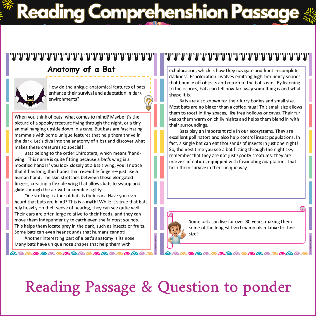 Anatomy of a Bat | Reading Comprehension Passage and Questions