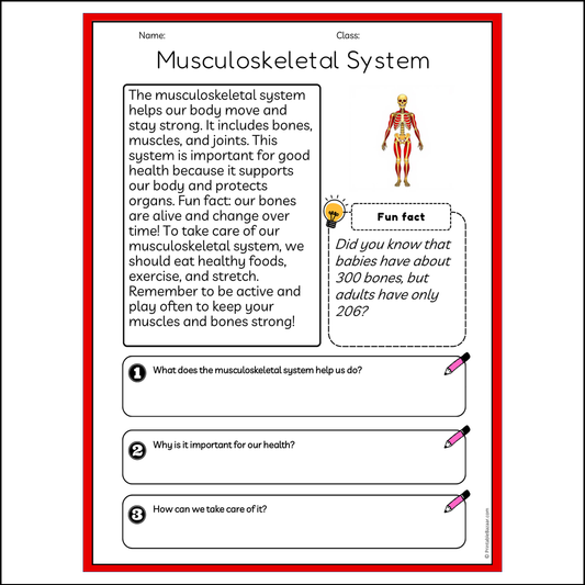 Musculoskeletal System | Reading Passage Comprehension Questions Writing Facts Worksheet