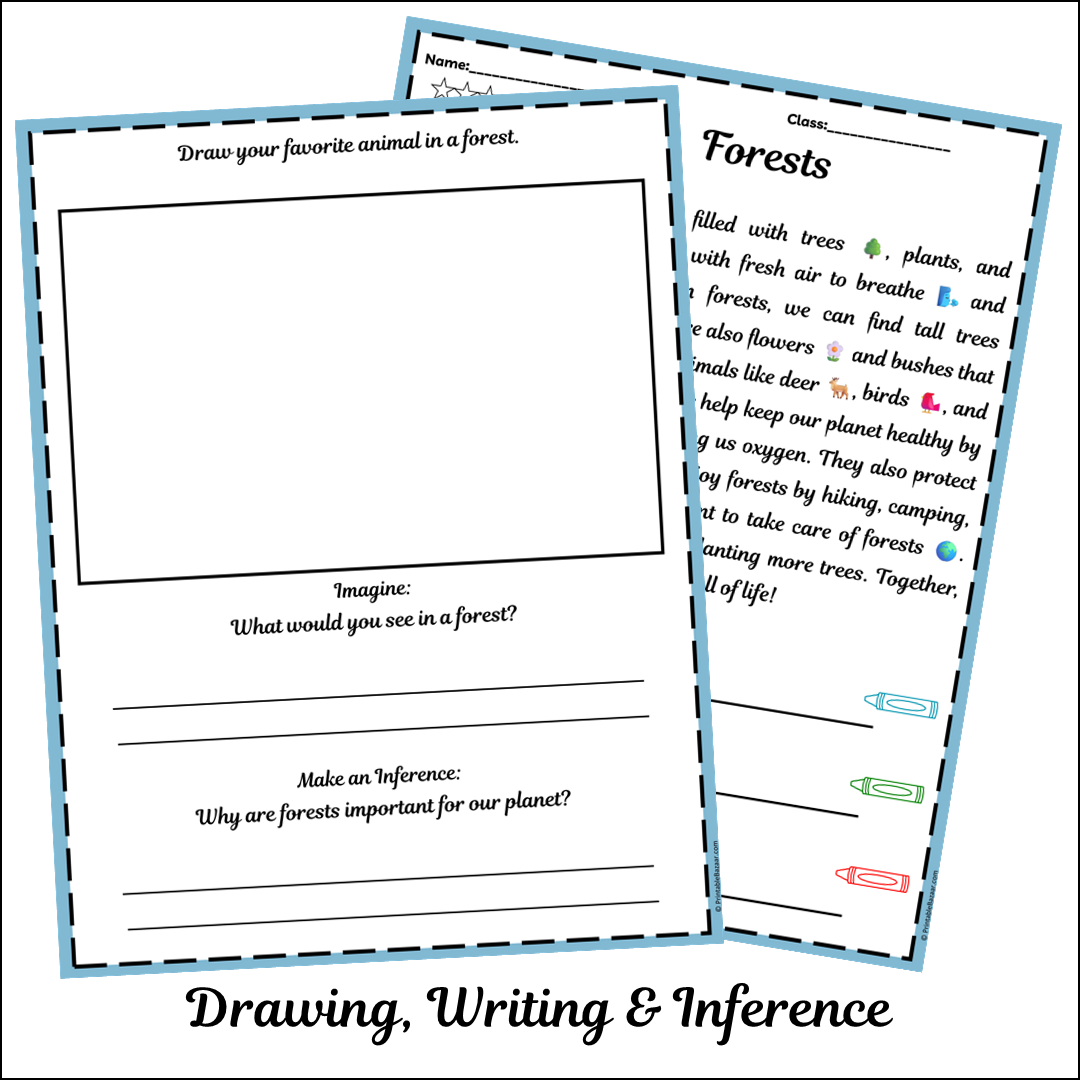 Forests | Short Reading Comprehension Creative Worksheet