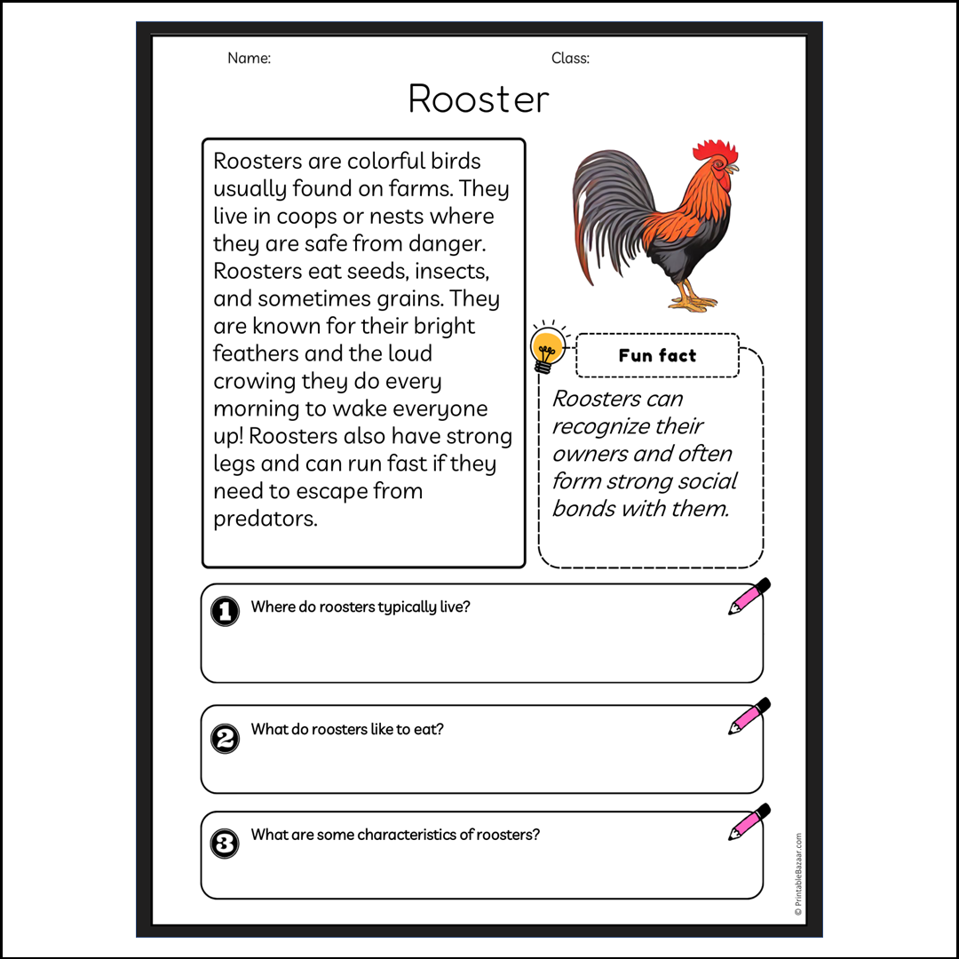 Rooster | Reading Passage Comprehension Questions Writing Facts Worksheet