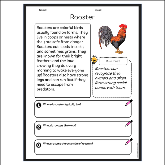 Rooster | Reading Passage Comprehension Questions Writing Facts Worksheet