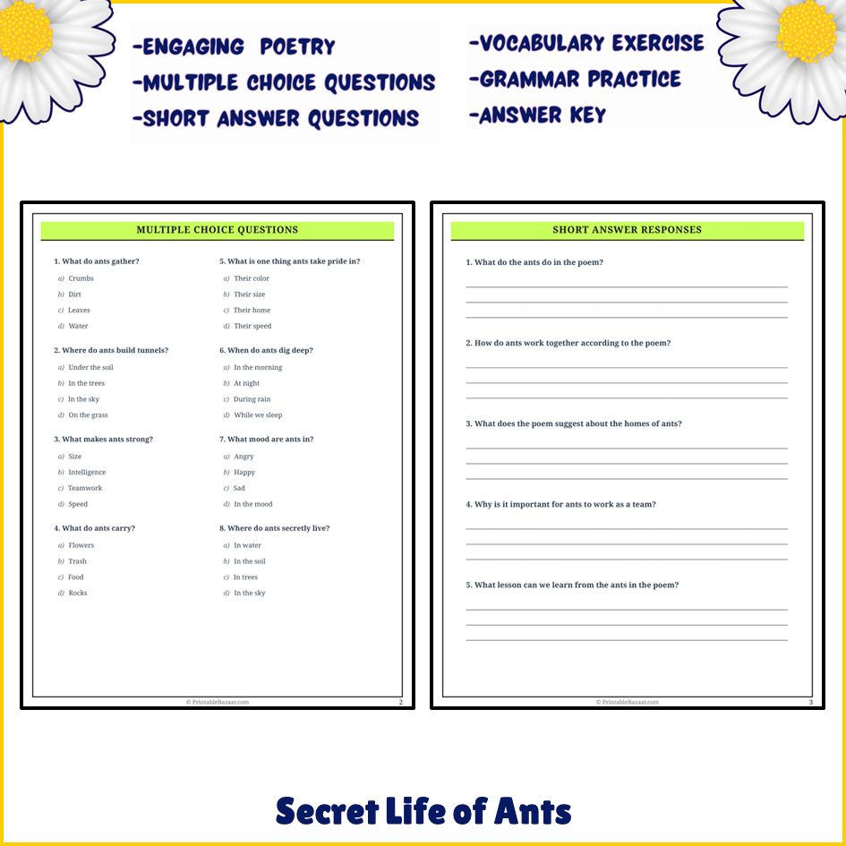 Secret Life of Ants | Poem Grammar Worksheet Printable Activity