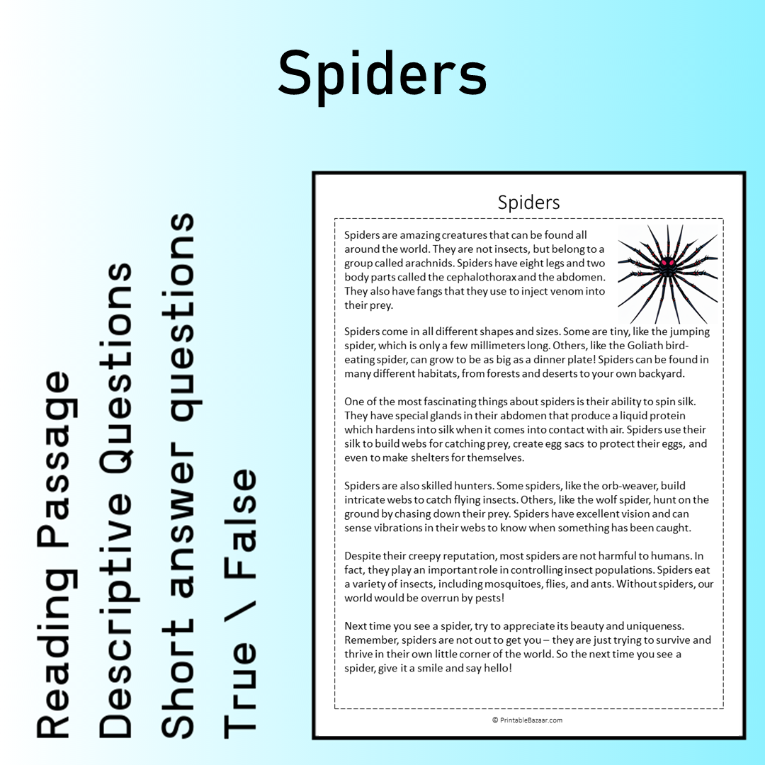 Spiders | Reading Comprehension Passage Printable Worksheet