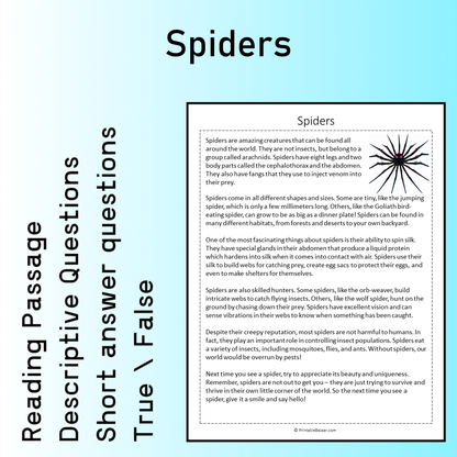 Spiders | Reading Comprehension Passage Printable Worksheet