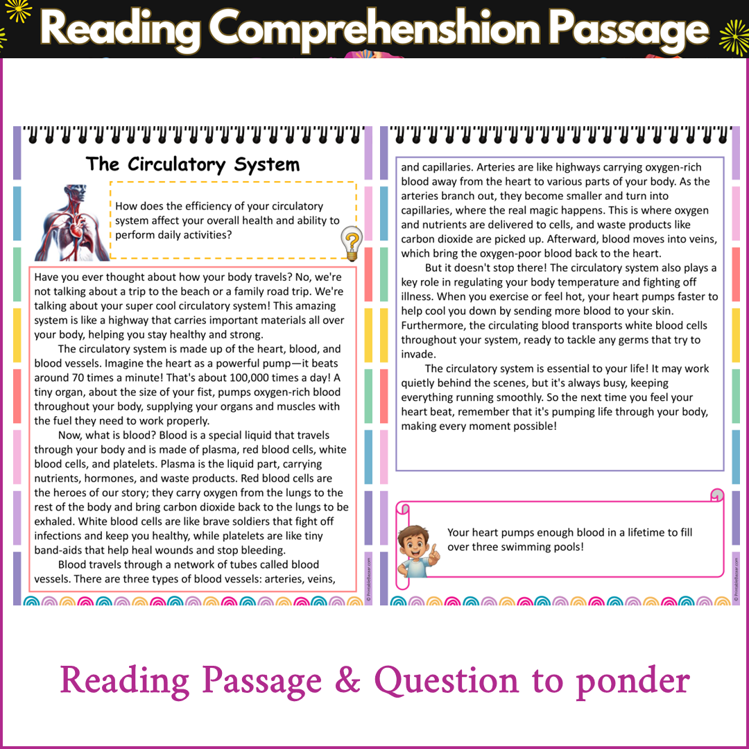 The Circulatory System | Reading Comprehension Passage and Questions