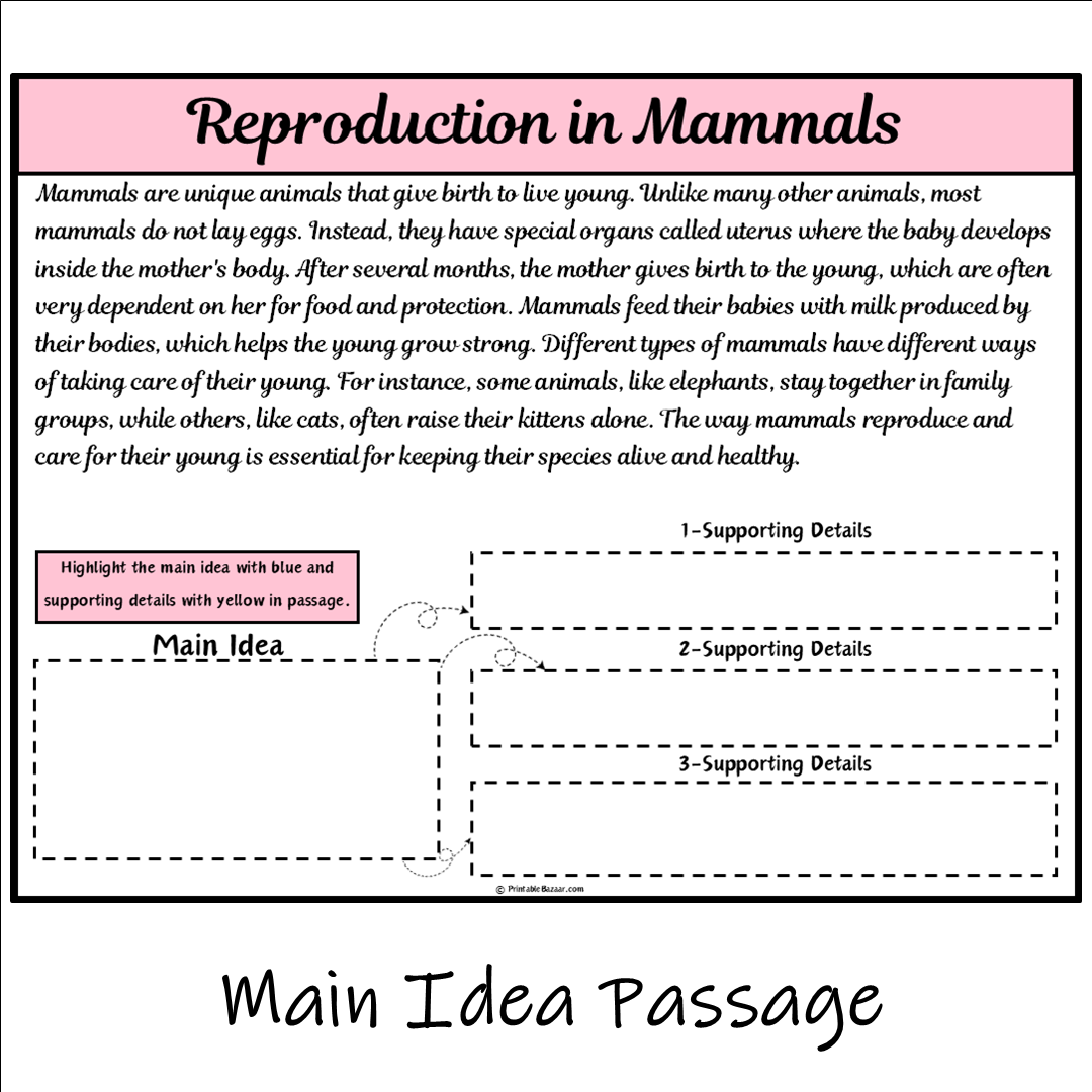 Reproduction in Mammals | Main Idea and Supporting Details Reading Passage and Questions