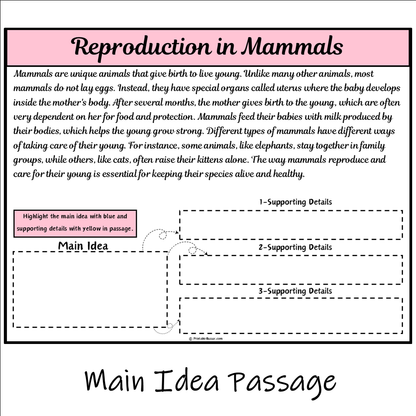 Reproduction in Mammals | Main Idea and Supporting Details Reading Passage and Questions