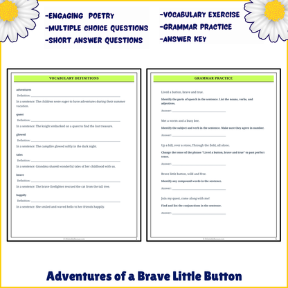 Adventures of a Brave Little Button | Poem Grammar Worksheet Printable Activity