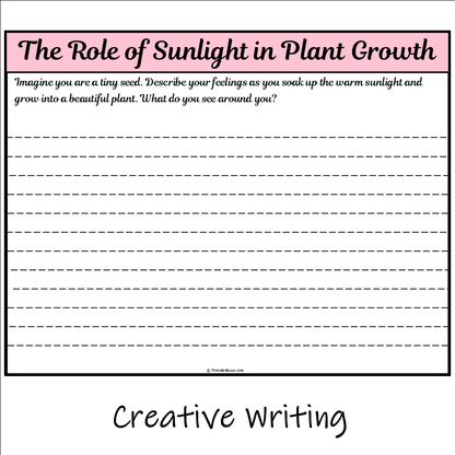 The Role of Sunlight in Plant Growth | Main Idea and Supporting Details Reading Passage and Questions