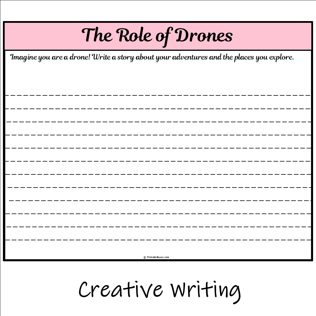 The Role of Drones | Main Idea and Supporting Details Reading Passage and Questions