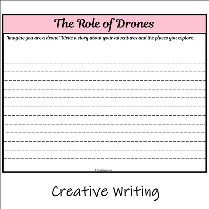 The Role of Drones | Main Idea and Supporting Details Reading Passage and Questions