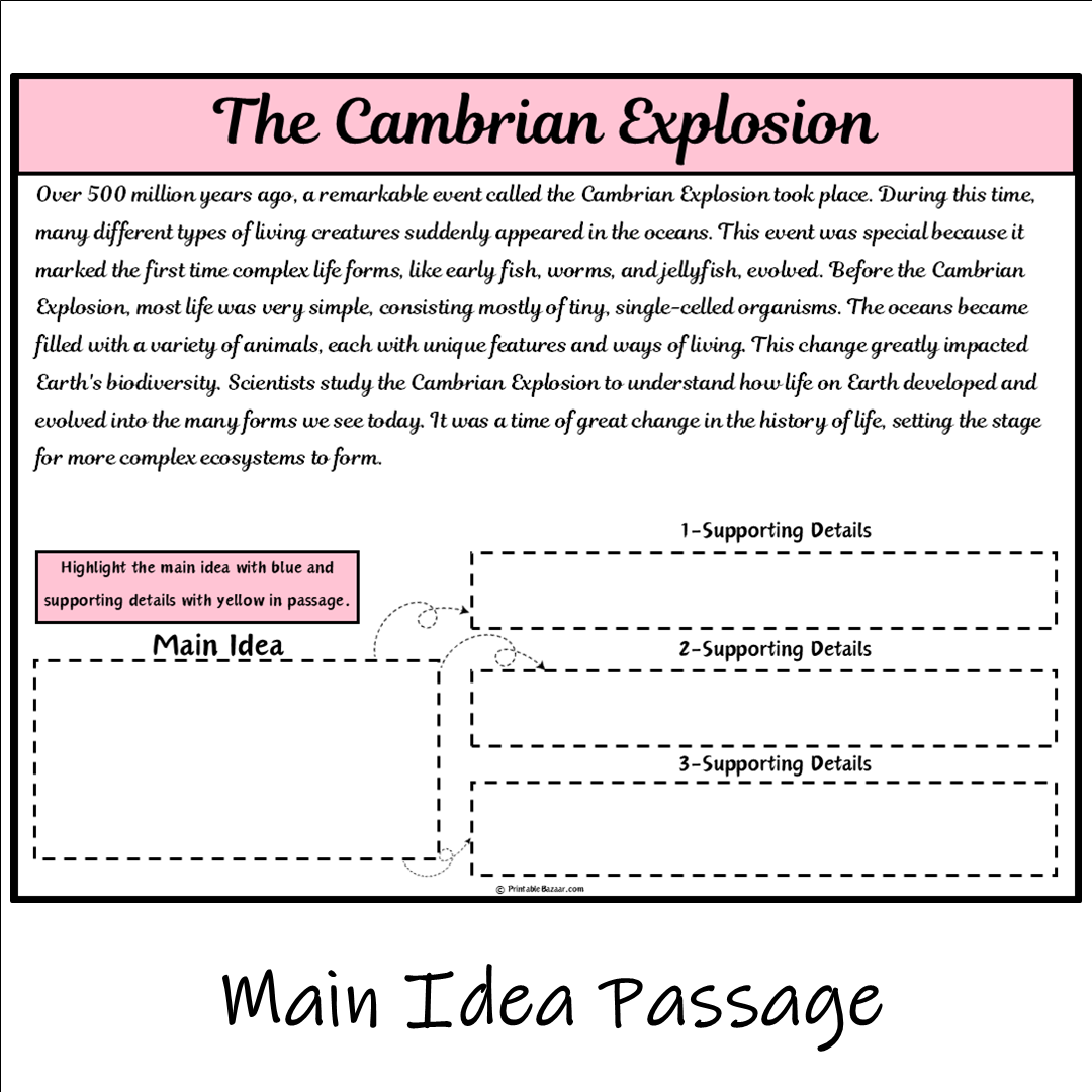 The Cambrian Explosion | Main Idea and Supporting Details Reading Passage and Questions