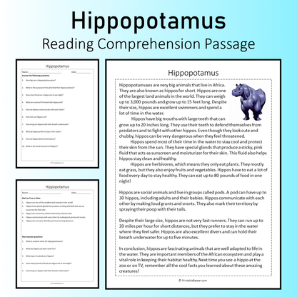 Hippopotamus | Reading Comprehension Passage Printable Worksheet