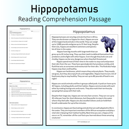 Hippopotamus | Reading Comprehension Passage Printable Worksheet