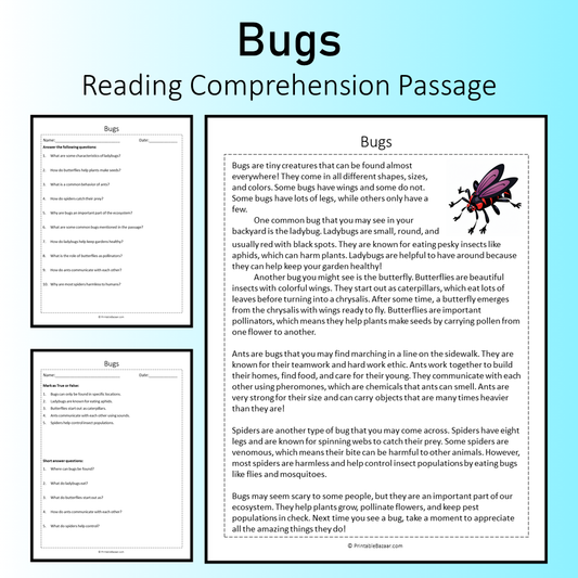 Bugs | Reading Comprehension Passage Printable Worksheet