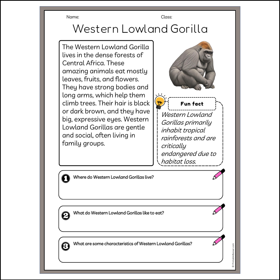 Western Lowland Gorilla | Reading Passage Comprehension Questions Writing Facts Worksheet