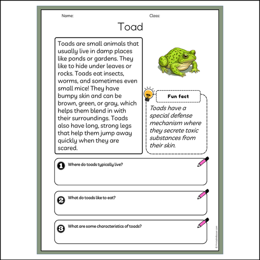 Toad | Reading Passage Comprehension Questions Writing Facts Worksheet