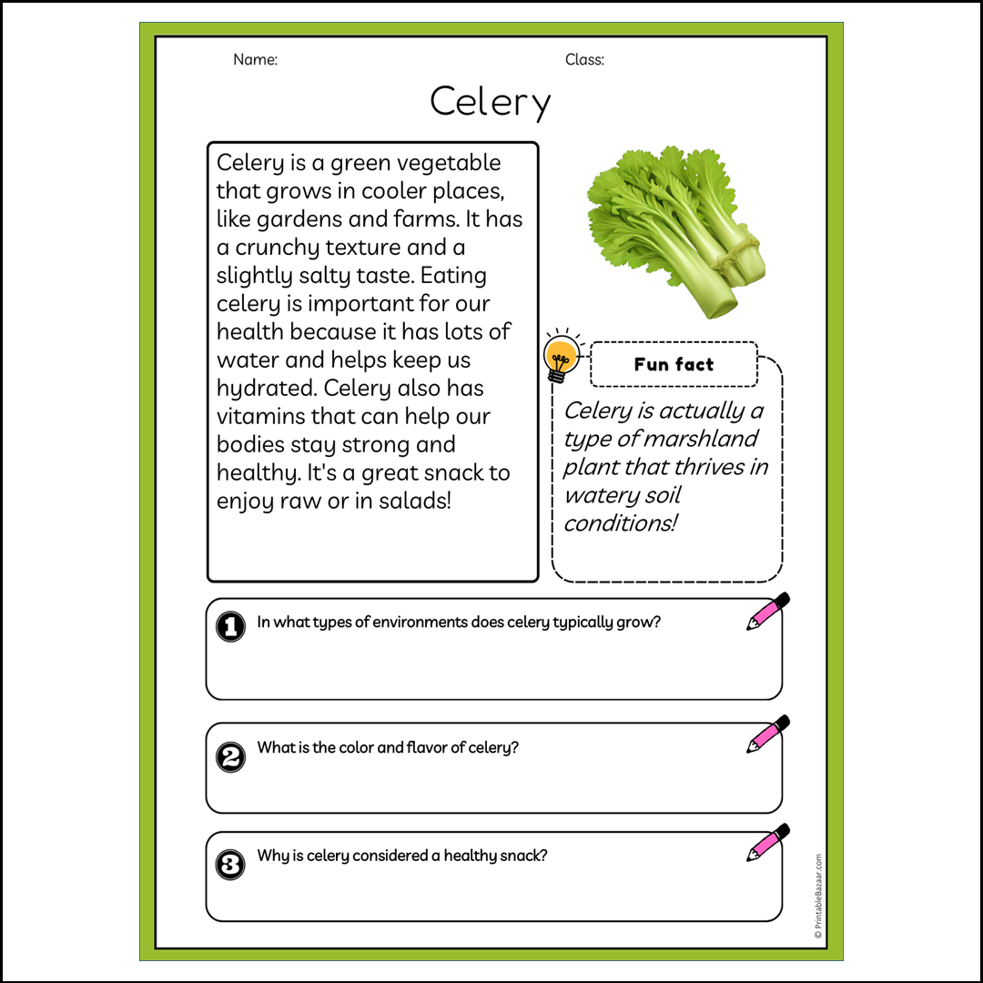 Celery | Reading Passage Comprehension Questions Writing Facts Worksheet