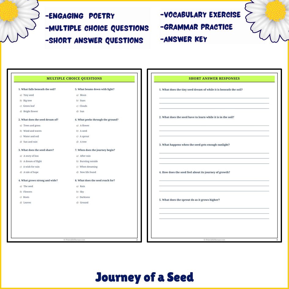 Journey of a Seed | Poem Grammar Worksheet Printable Activity