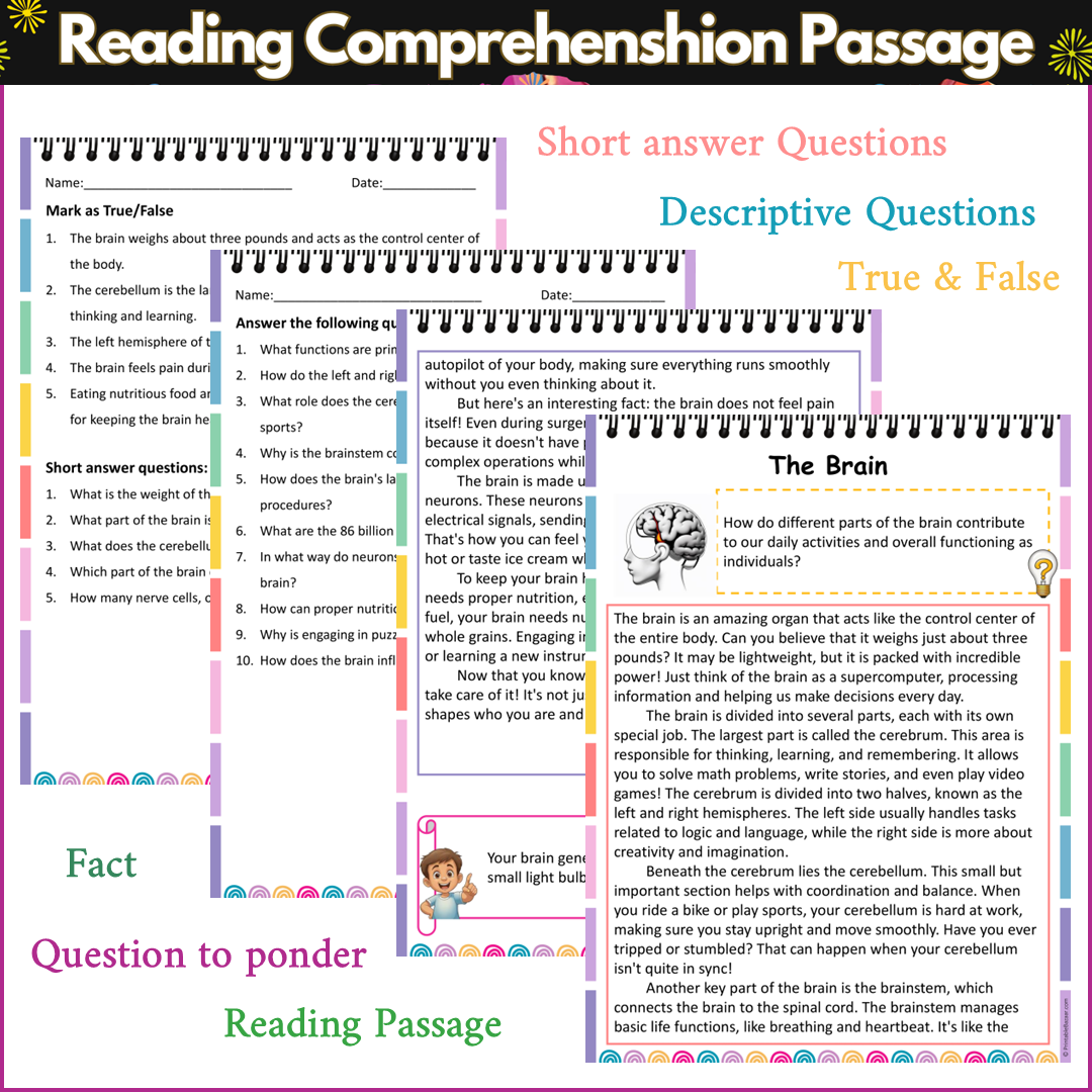 The Brain | Reading Comprehension Passage and Questions