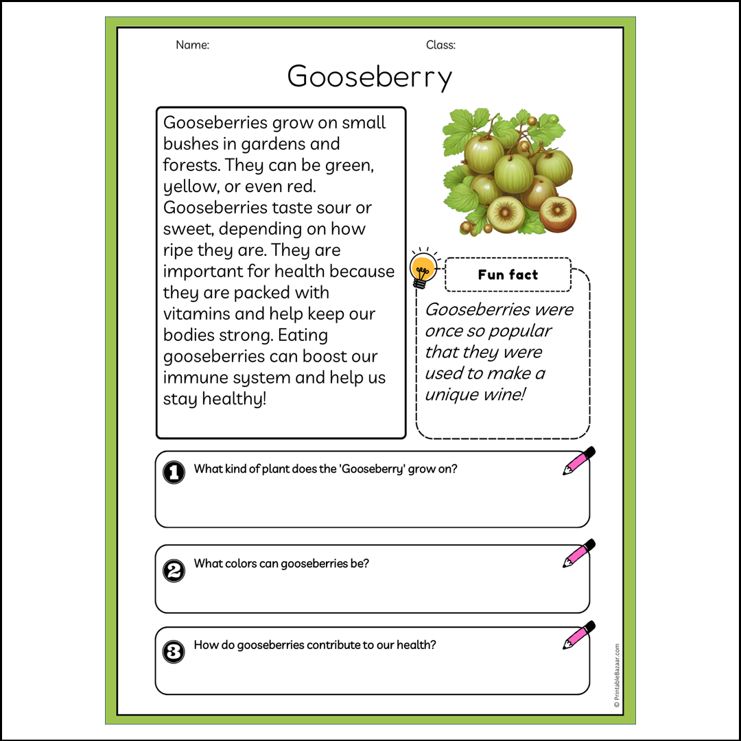 Gooseberry | Reading Passage Comprehension Questions Writing Facts Worksheet