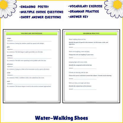 Water-Walking Shoes | Poem Grammar Worksheet Printable Activity