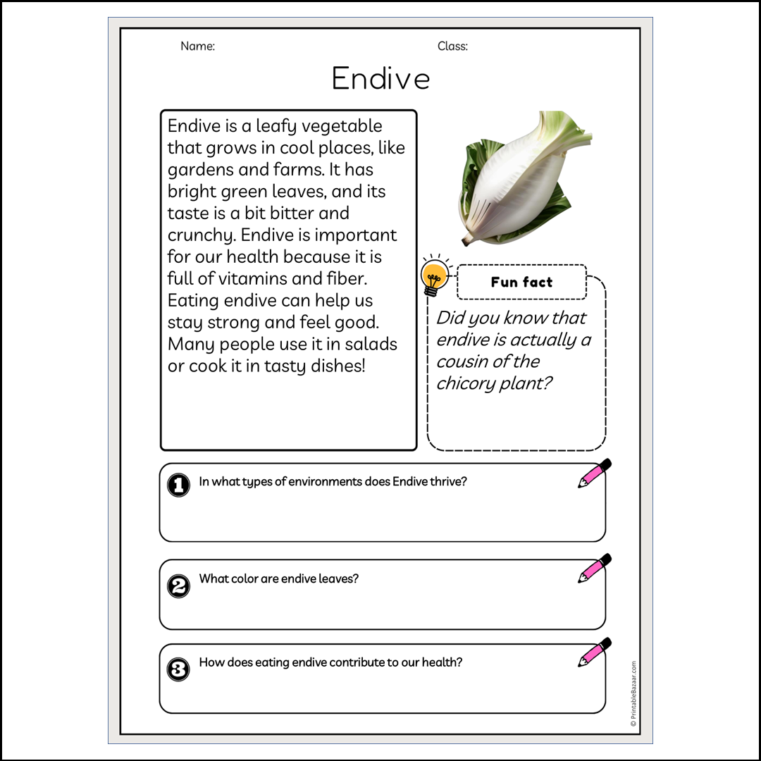 Endive | Reading Passage Comprehension Questions Writing Facts Worksheet