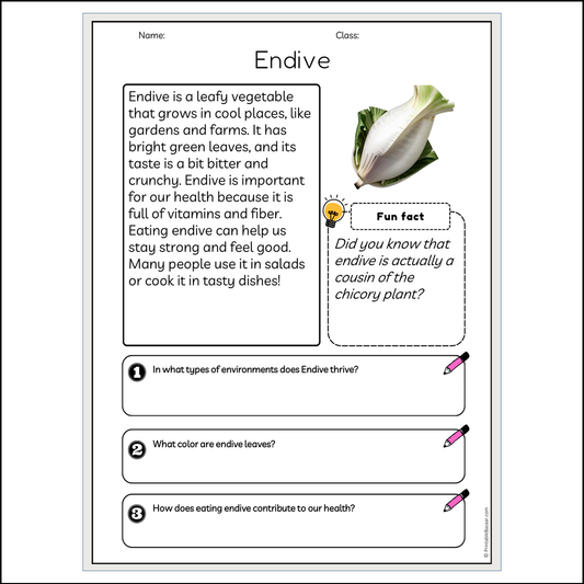 Endive | Reading Passage Comprehension Questions Writing Facts Worksheet