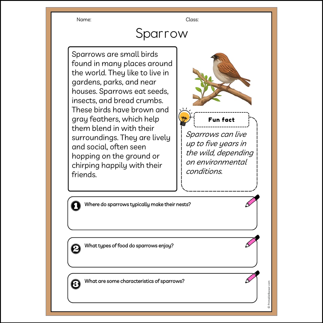 Sparrow | Reading Passage Comprehension Questions Writing Facts Worksheet