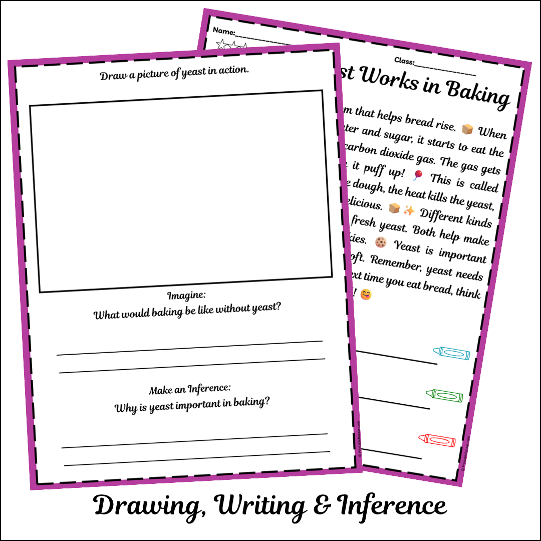 How Yeast Works in Baking | Short Reading Comprehension Creative Worksheet