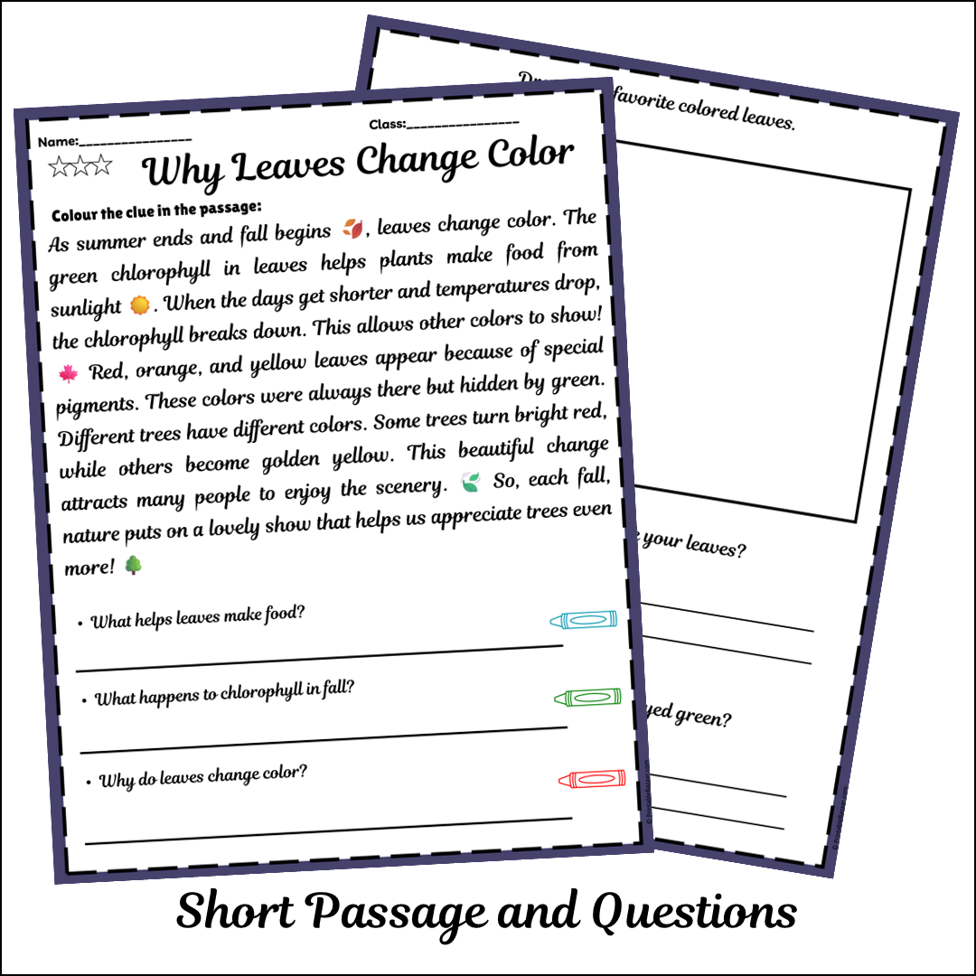 Why Leaves Change Color | Short Reading Comprehension Creative Worksheet