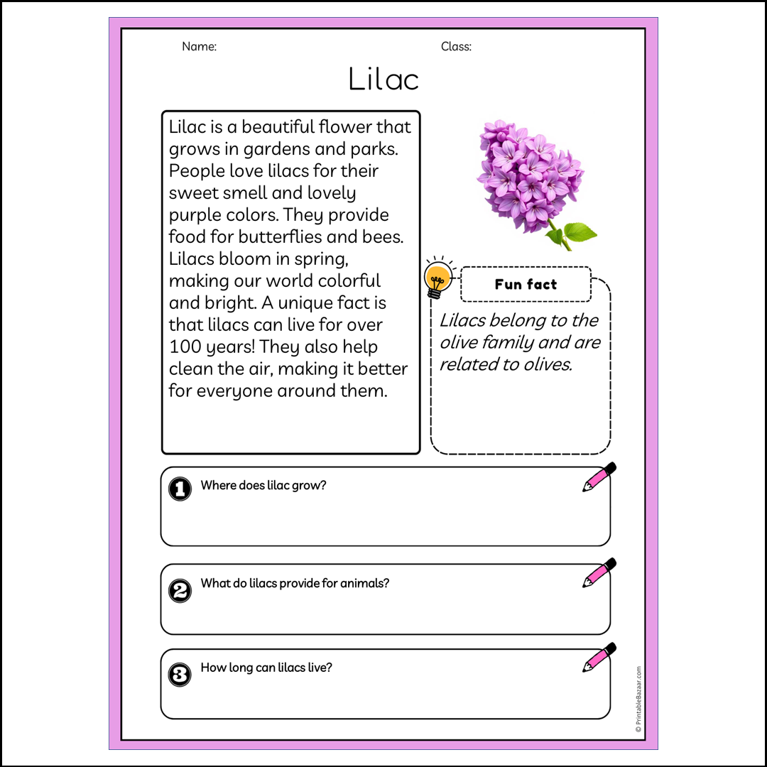 Lilac | Reading Passage Comprehension Questions Writing Facts Worksheet