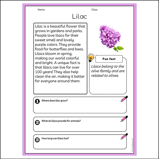 Lilac | Reading Passage Comprehension Questions Writing Facts Worksheet