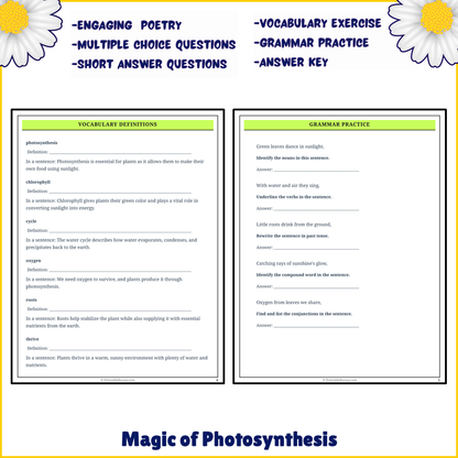 Magic of Photosynthesis | Poem Grammar Worksheet Printable Activity