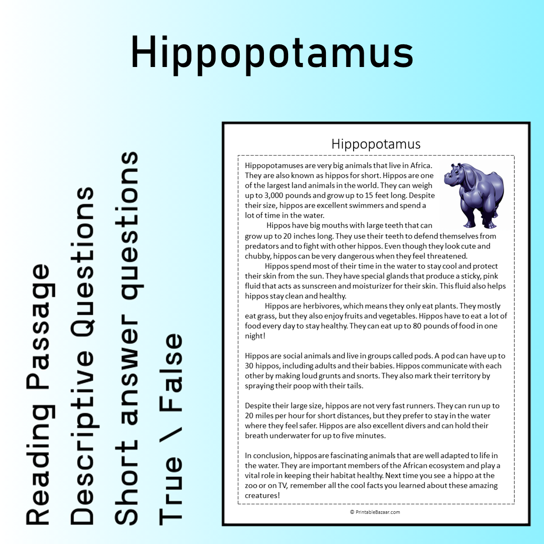 Hippopotamus | Reading Comprehension Passage Printable Worksheet
