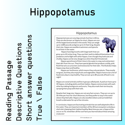 Hippopotamus | Reading Comprehension Passage Printable Worksheet