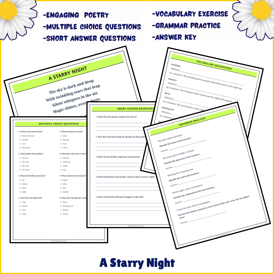 A Starry Night | Poem Grammar Worksheet Printable Activity