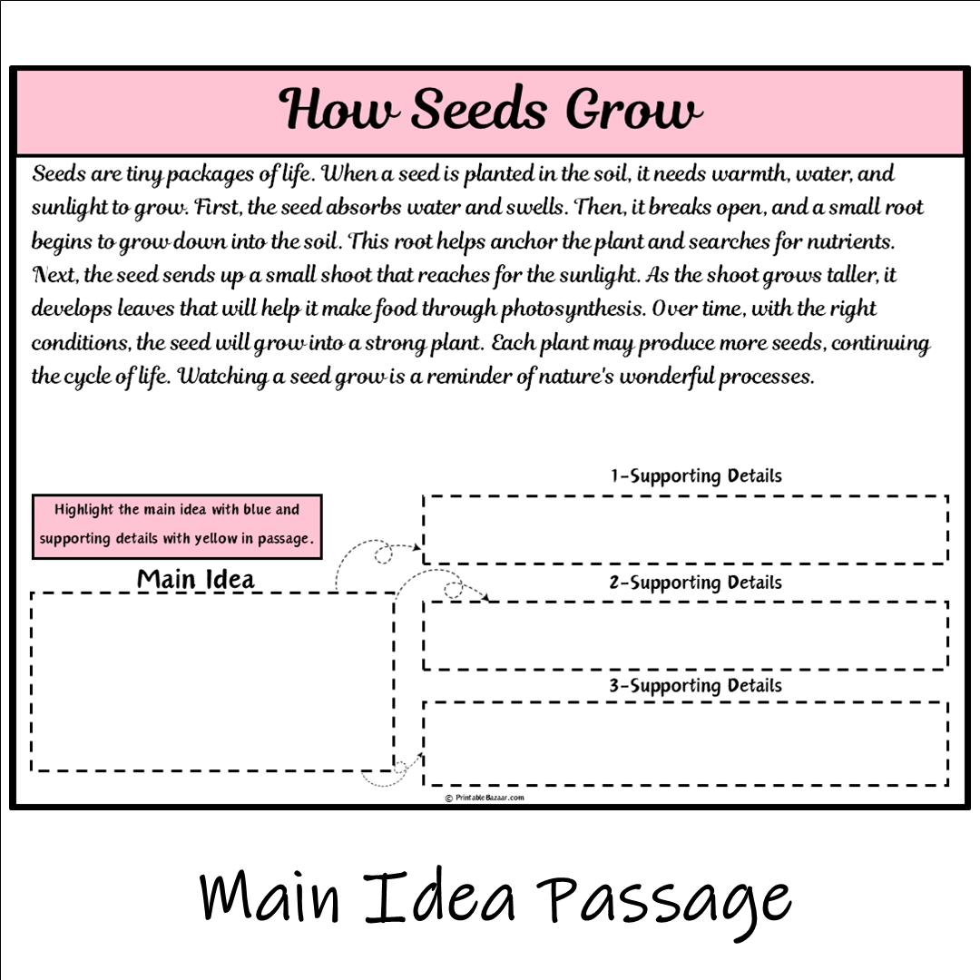 How Seeds Grow | Main Idea and Supporting Details Reading Passage and Questions