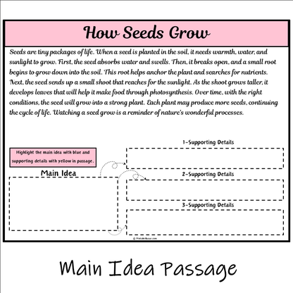 How Seeds Grow | Main Idea and Supporting Details Reading Passage and Questions