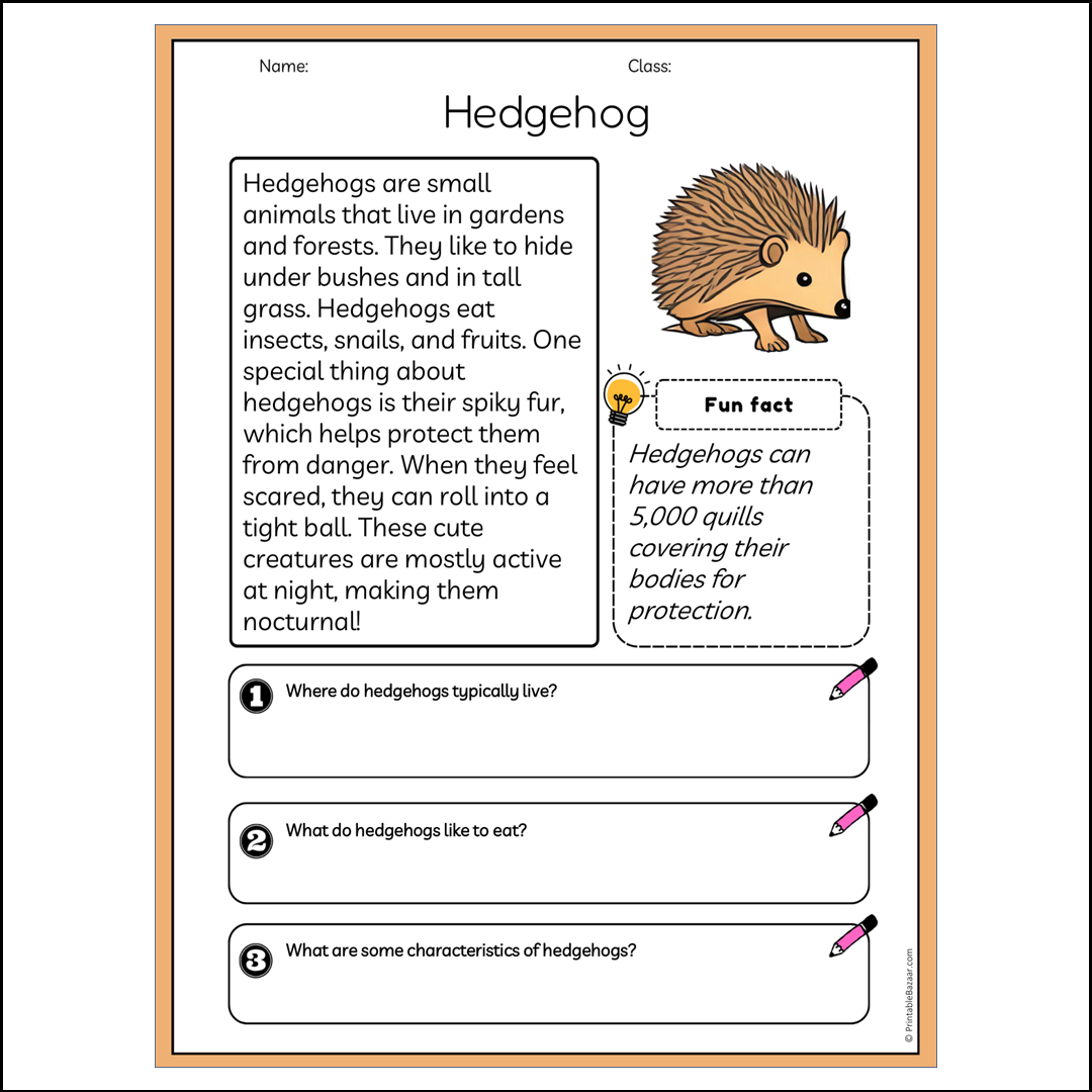 Hedgehog | Reading Passage Comprehension Questions Writing Facts Worksheet