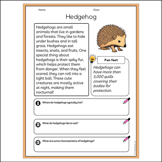 Hedgehog | Reading Passage Comprehension Questions Writing Facts Worksheet